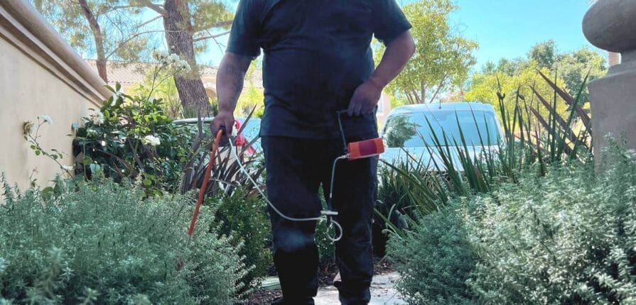 Worker walking between outdoor plants inspecting irrigation system