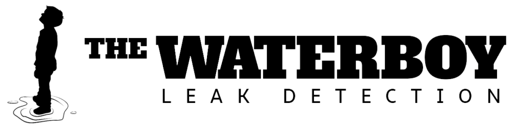 The Waterboy logo